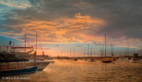 Coastline photo