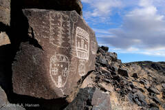 Big Petroglyph Canyon #30
