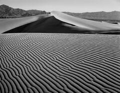 "Dune # 1", Death Valley
