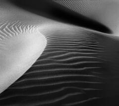 "Dune # 17"  Death Valley