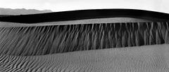 "Dune # 2" Death Valley