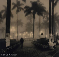 Figure in Fog, Coscomatepec