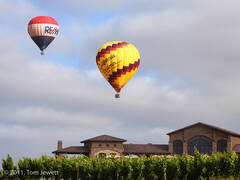 Landscape 25, Balloons over vineyard