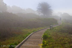 Lifestyle 18, Foggy seaside walkway
