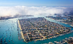 Fog in the Harbor