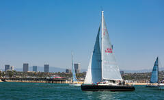 Sailing in the Harbor