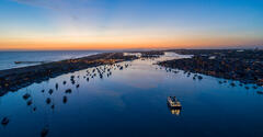 Night Harbor and the Gray Goose