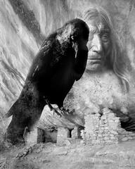 Plate7: "Raven Song"