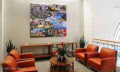 Laguna Niguel City Hall 4