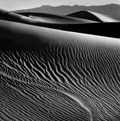 "Dune # 15"  Death Valley