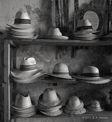 Plate #48: Mexican Hats, Yucatan