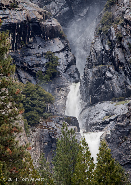 This view of pines and the lower two cascades is from the parking lot of the Yosemite Lodge. Photo by Tom Jewett.