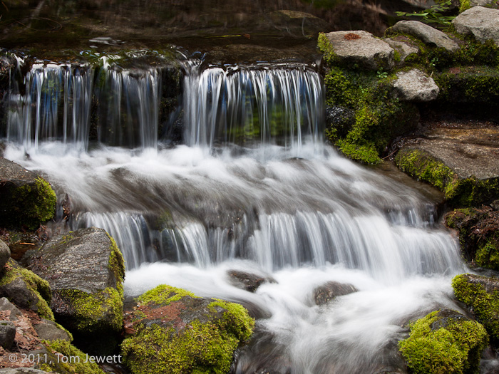 Running water contrasts with the moss-covered rocks framing this small cascade next to the road at the west end of Yosemite Valley...