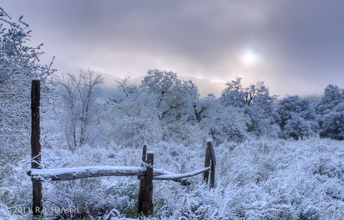 A rare early morning snow and frost cover this landscape, with the sun almost hidden behind the clouds