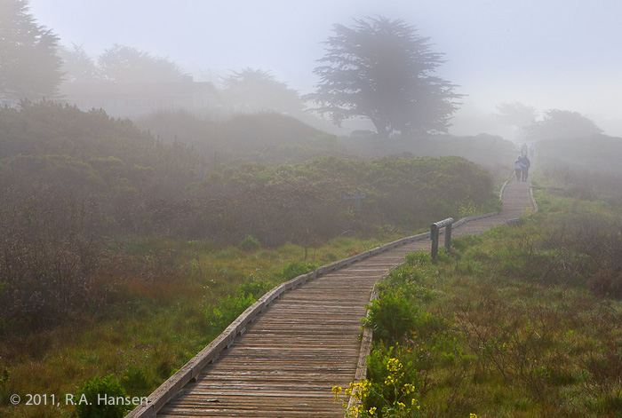 &nbsp;Visitors take a leisurely morning stroll in the lifting fog along this wood-paved path