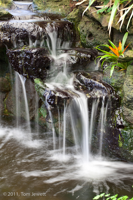 In a tropical-themed garden, this waterfall feeds a koi pond. Photo by Tom Jewett.