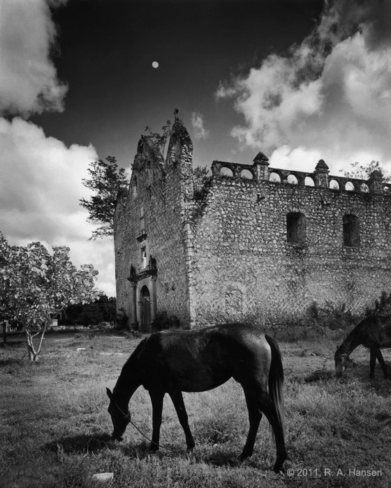 In the early morning we left Uxmal and drove through a rising fog into the rain forest of Campeche. Once we got past Sayil, we...